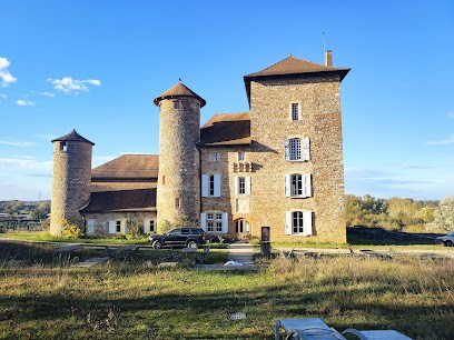 Musée des minéraux, Musée à Villemoirieu