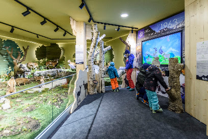 Le Muséum Des Animaux De Montagne Musée à Peisey-Nancroix
