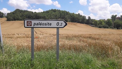 Sentier Paléontologique de Sansan, Musée à Sansan