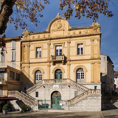 Museum of Saint-Gaudens, Musée à Saint-Gaudens