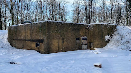 Casemate Du Bois De Kanfen, Musée à Kanfen