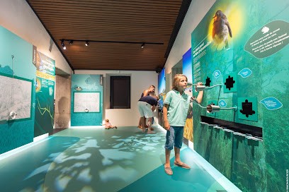 Maison De La Nature De La Grenouillère, Musée à Saint-Benoist-sur-Mer