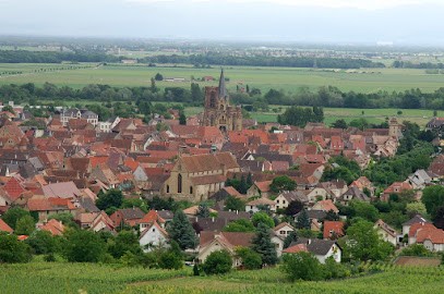 Old Corn Exchange - Bailiwick Museum, Musée à Rouffach