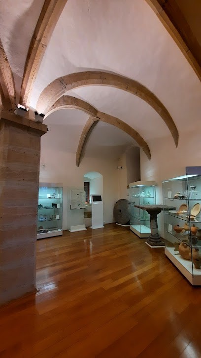 Musée De La Tour Aux Puces, Musée à Thionville