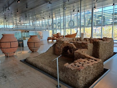 Musée et sites archéologiques de Saint-Romain-en-Gal - Département du Rhône, Musée à Saint-Romain-en-Gal