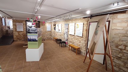 Maison du Patrimoine, Musée à Villefranche-sur-Saône