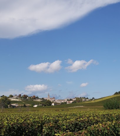AFSACSA, Musée à Saint-Émilion