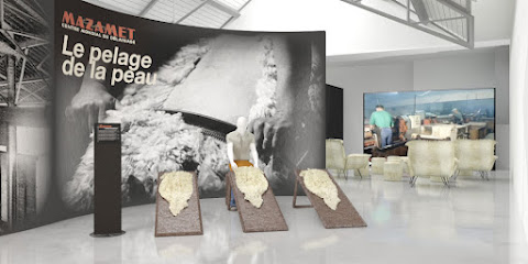 L'épopée Du Délainage - Musée Musée à Mazamet
