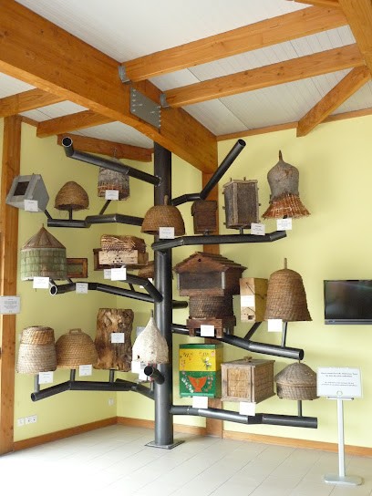 Écomusée De L’abeille - Les Ruchers Du Morvan, Musée à Blismes