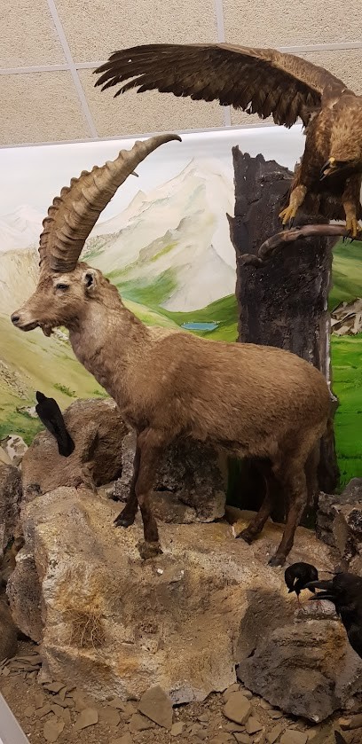 Ecomusée de la faune Le refuge des animaux, Musée à Saint-Léger-les-Mélèzes