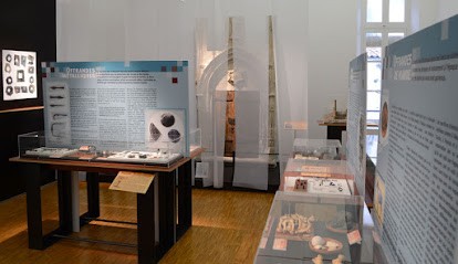 Musée d'Archéologie Tricastine, Musée à Saint-Paul-Trois-Châteaux