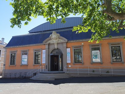 Museum Paul Dini, Musée à Villefranche-sur-Saône