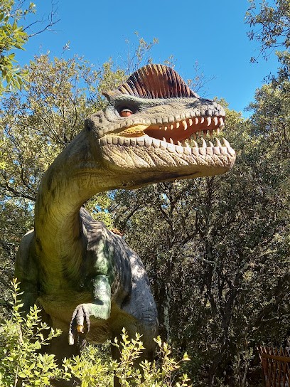 DINO PARC, Musée à Saint-Remèze