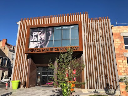 Espace Maurice Rollinat, Musée à Vierzon