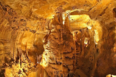 Site archéologique: Grottes et Musée, Musée à Soyons