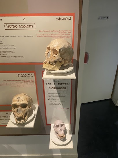 Musée de Préhistoire et Géologie Jean Hallemans, Musée à Sciez