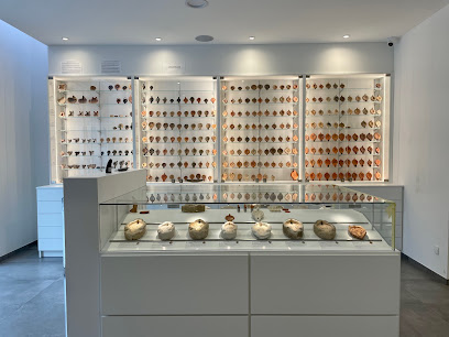 Malhac, Musée à la Motte