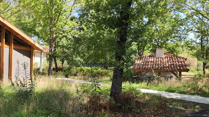Conservatoire Des Landes De Gascogne, Musée à Sanguinet