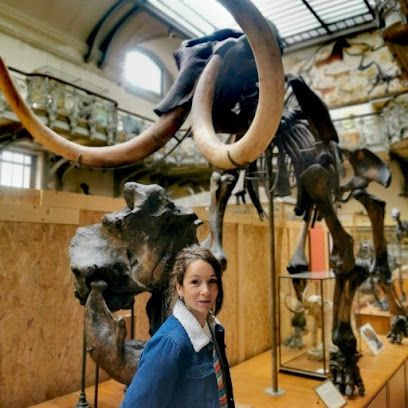 Nathalie Grenet Muséographe Musée à Toulouse
