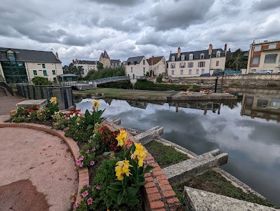Musée de Sologne, Musée à Romorantin-Lanthenay