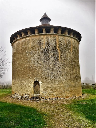 Le pigeonnier de Vouzailles, Musée à Vouzailles