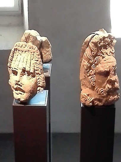 Musée Gallo-Romain Sisteron, Musée à Sisteron