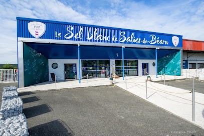 Musée Salines de Salies-de-Bearn, Musée à Salies-de-Béarn