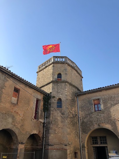 Chateau De Puisserguier, Musée à Puisserguier
