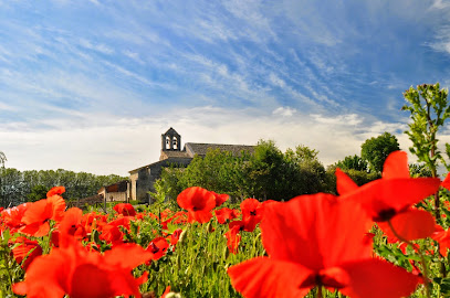 Musée Et Jardins De Salagon, Musée à Mane