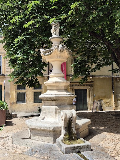 Alpilles Museum, Musée à Saint-Rémy-de-Provence