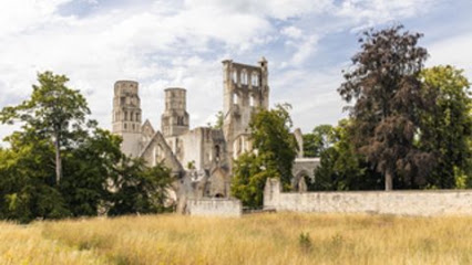 Abbaye De Jumièges Musée à Jumièges