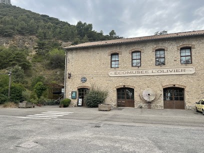 Écomusée L'Olivier, Musée à Volx