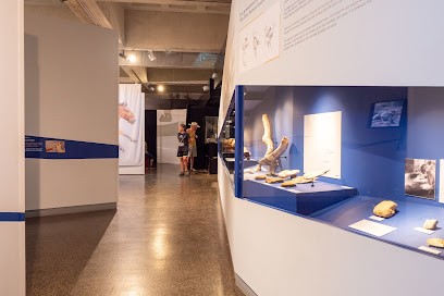 Musée De Préhistoire De Solutré, Musée à Solutré-Pouilly